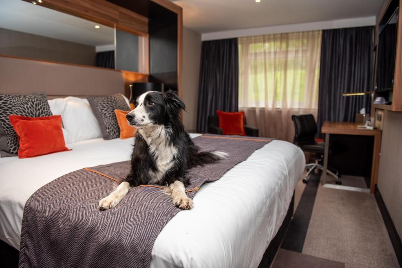 Готель Crowne Plaza Gerrards Cross By Ihg Біконсфілд Екстер'єр фото